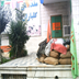 بازگشايي مدرسه مهر92